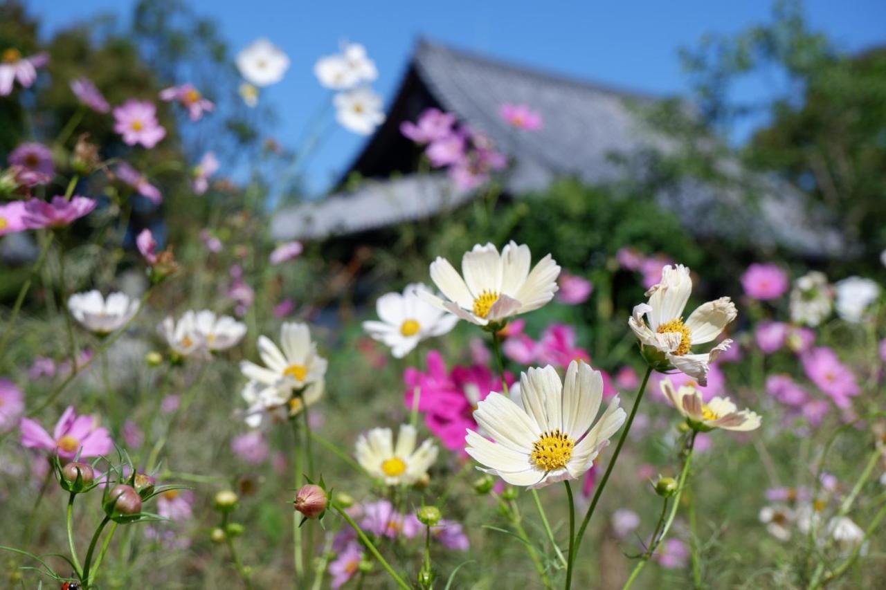 Noborioji Hotel Nara Eksteriør billede